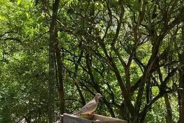 ペンション Pietra Rossa  Vale Dos Vinhedos