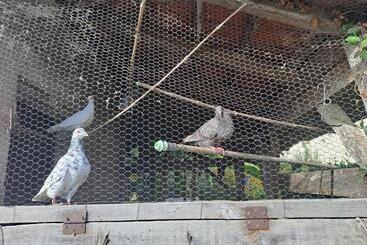 Bed and Breakfast La Garenne