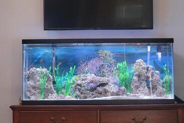 住宿加早餐 Hollywood Room On The Lake