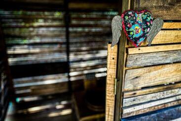 민박 Casa Corazon San Pancho Nayarit