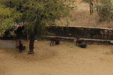 Farm Aavjo   A Conscious Stay