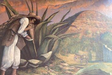 Pansiyon Plan Vip Pirámides Teotihuacan