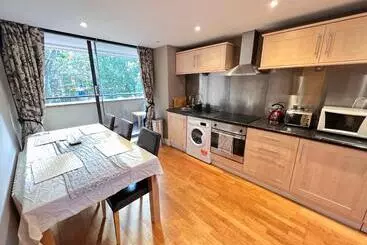 Great River Thames View Entire Apartment In The Most Central London