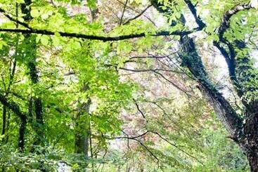 בית מלון כפרי Chateau De Strainchamps