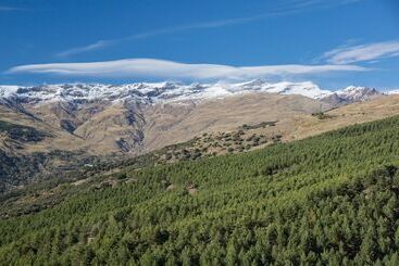 Отель Maravedí