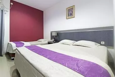 ペンション Paus Guest House Pekanbaru