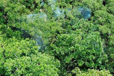 ペンション Perla Verde, Hostel Sarapiquí A Lodging In The Middle Of Nature