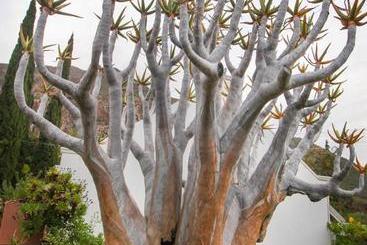 游客公寓 Montagu Little Sanctuary   Hot Spring Access At Reduced Price