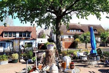 Общежитие ück Dorfgasthof Swienstall