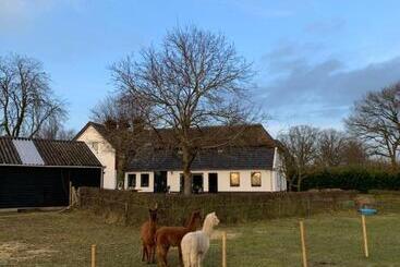 住宿加早餐  Hoeve Zandbelt
