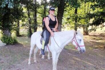 هاستل Kuća Dragović Apartman