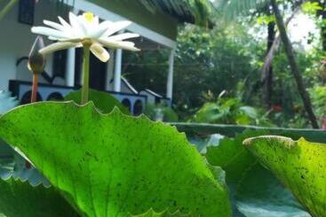 ホテル Smw Lodge Sigiriya