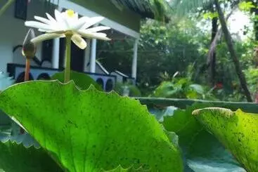 Hotelli Smw Lodge Sigiriya