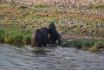 Pension Kifaru Kruger