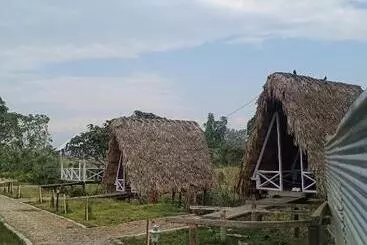 Wood Town Resort