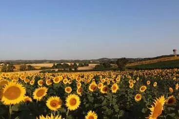 Pax & Amor   Boutique B&b