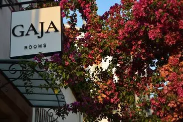 تختخواب و صبحانه Gaja Ayvalık