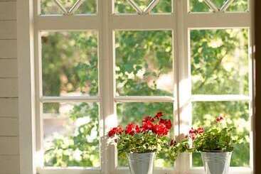 פנסיון Naissaaren Villa Valo