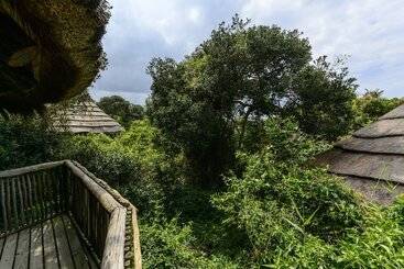 פנסיון Thonga Beach Lodge