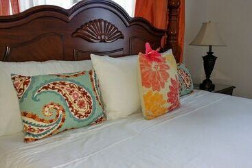 آپارتمان‌های توریست‌ها Fern Court Apartment With Oceanic View