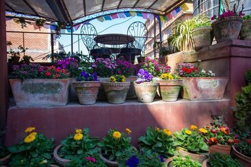 هتل The Boudha Inn