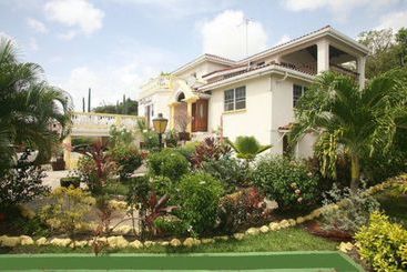 ペンション Palm Paradise Guest House And Apartments