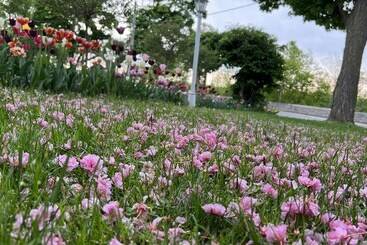 هتل Bedham Hall B&b