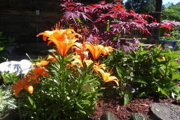 בית מלון כפרי Forest Echoes Cabins