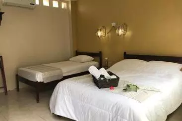 Hostel Cactus