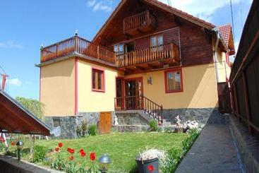 Bed and Breakfast Pensiunea Neba