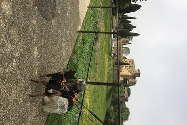 مبيت وإفطار Le Mas Aux Arômes