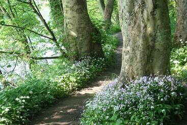 Bed and Breakfast The Old Station House