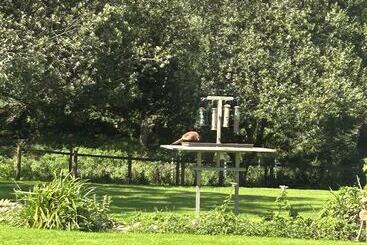 Charming 1 Bed Cottage In Liskeard Cornwall