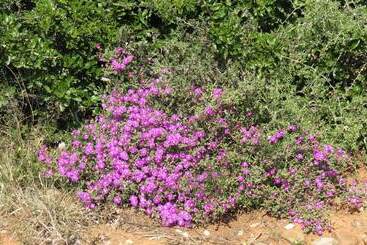 Hotel Kudu Ridge Game Lodge