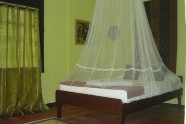 Hotel Mangrove Oriental Bed & Breakfast Resort
