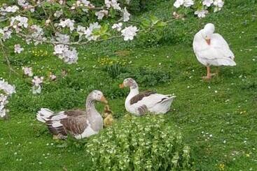 ペンション Domaine De Karoli