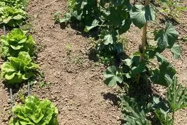 تختخواب و صبحانه La Casa Nell Orto