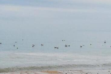 Pensiune Un Petit Studio Moderne Et Conviviale