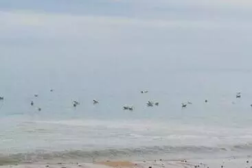 ペンション Un Petit Studio Moderne Et Conviviale