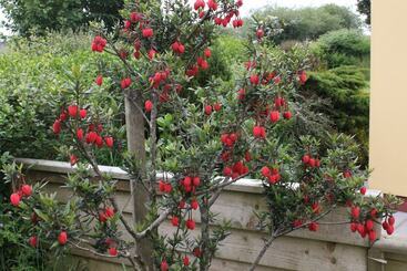 Brynhaul Bed And Breakfast