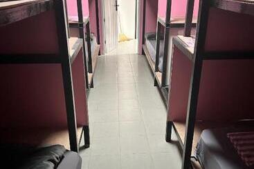 Disco Zoo Bar & Hostel