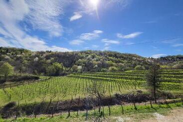 Il Tempio Nel Bosco The Rustic Rooms & Wine