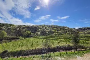 Il Tempio Nel Bosco The Rustic Rooms & Wine