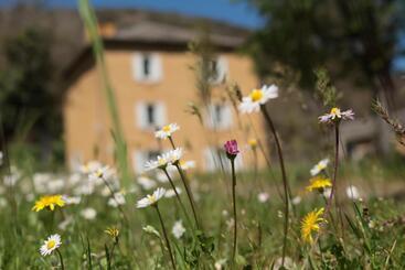 住宿加早餐  Lou Prat