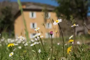 Bed and Breakfast Lou Prat