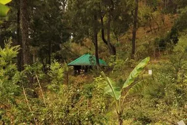 Heal Farm Himalayan Eco Alternative Lifestyle For Agriculture Recreation And Meditation
