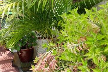 Pensjonat Teratak Opah Kamunting