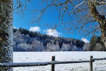 بنسيون Torre Camigliati Dimora Storica
