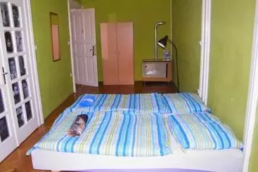White Rabbit Hostel