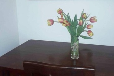 Nocleg ze śniadaniem Rupe Antica